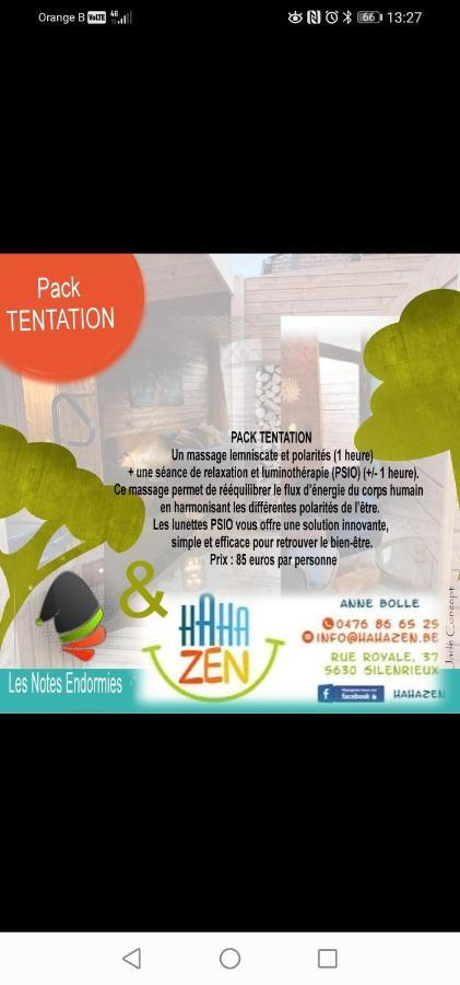 Maison D'Hote Les Notes Endormies Suite Le Refuge Walcourt Esterno foto